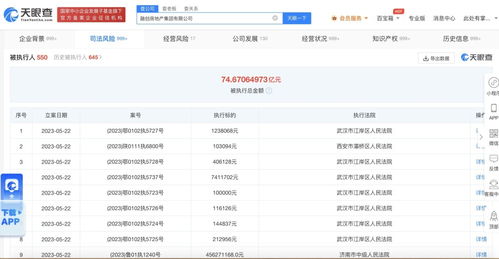 融創(chuàng)房地產(chǎn)公司累計被執(zhí)行超74億